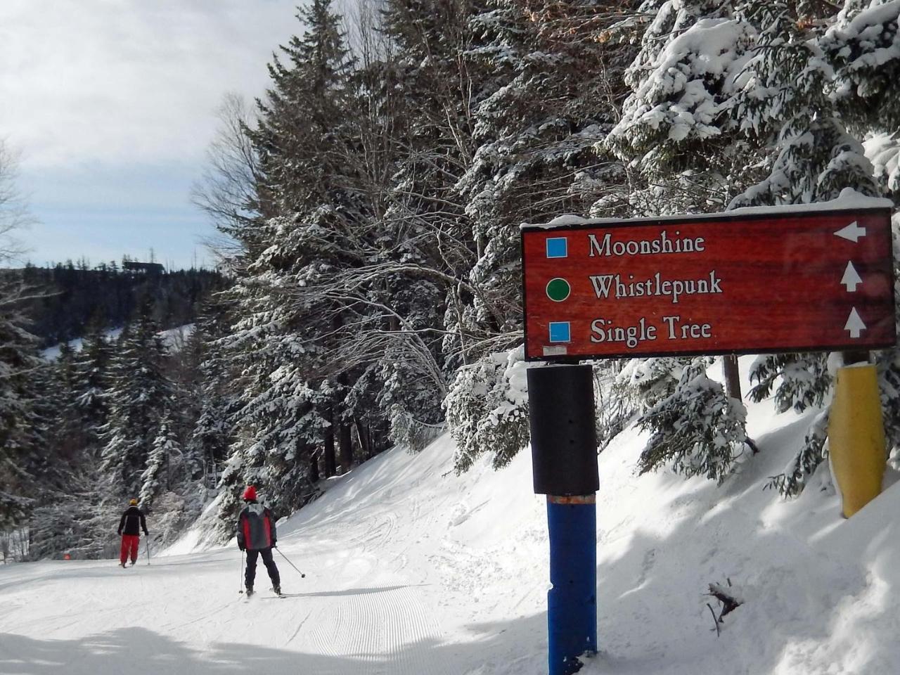Whistlepunk 32 Villa Snowshoe Dış mekan fotoğraf